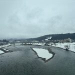 【白鳥】故郷に向かう車窓から